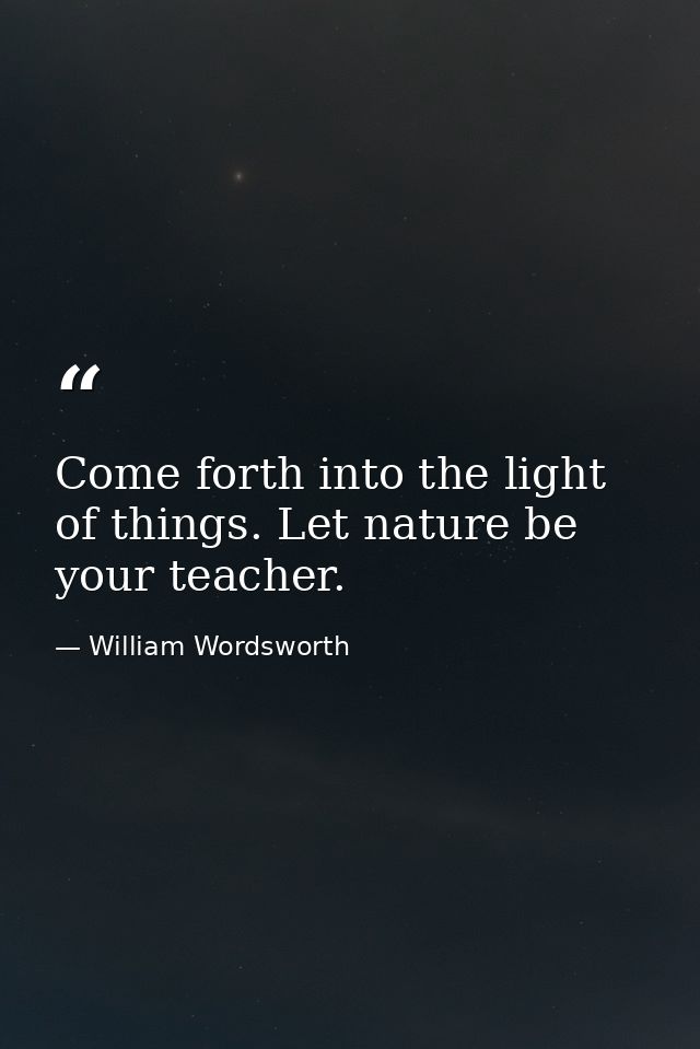 Come forth into the light of things. Let nature be your teacher. — William Wordsworth