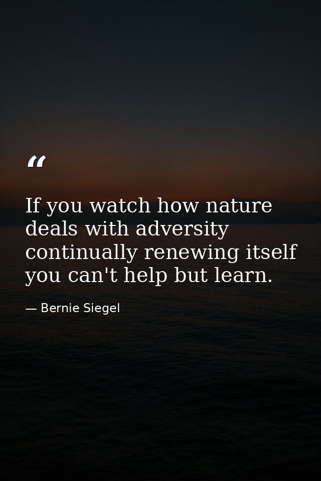 If you watch how nature deals with adversity  continually renewing itself  you can't help but learn. — Bernie Siegel