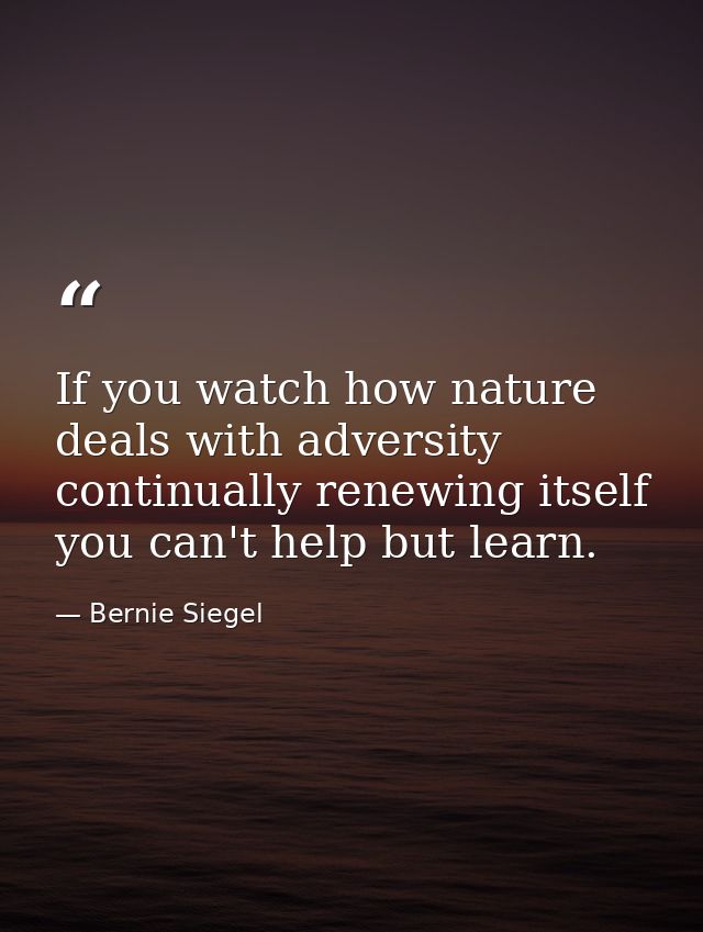 If you watch how nature deals with adversity  continually renewing itself  you can't help but learn. — Bernie Siegel