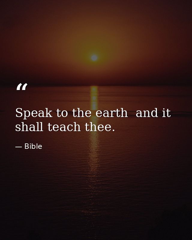 Speak to the earth  and it shall teach thee. — Bible