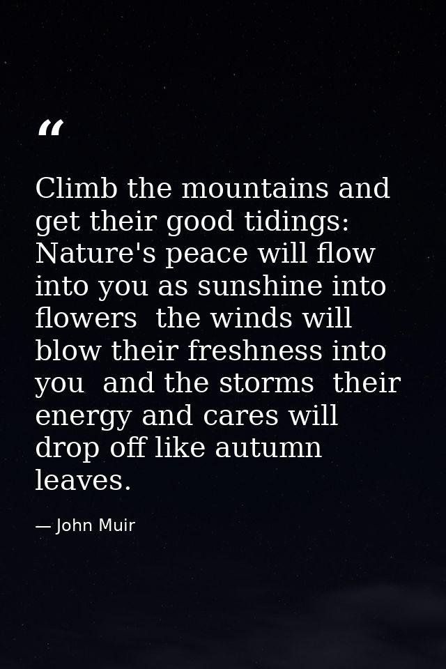 Climb the mountains and get their good tidings: Nature's peace will flow into you as sunshine into flowers  the winds wi — John Muir