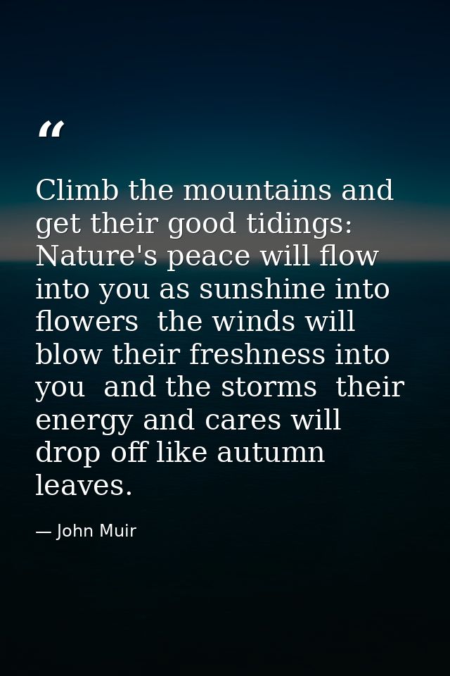 Climb the mountains and get their good tidings: Nature's peace will flow into you as sunshine into flowers  the winds wi — John Muir