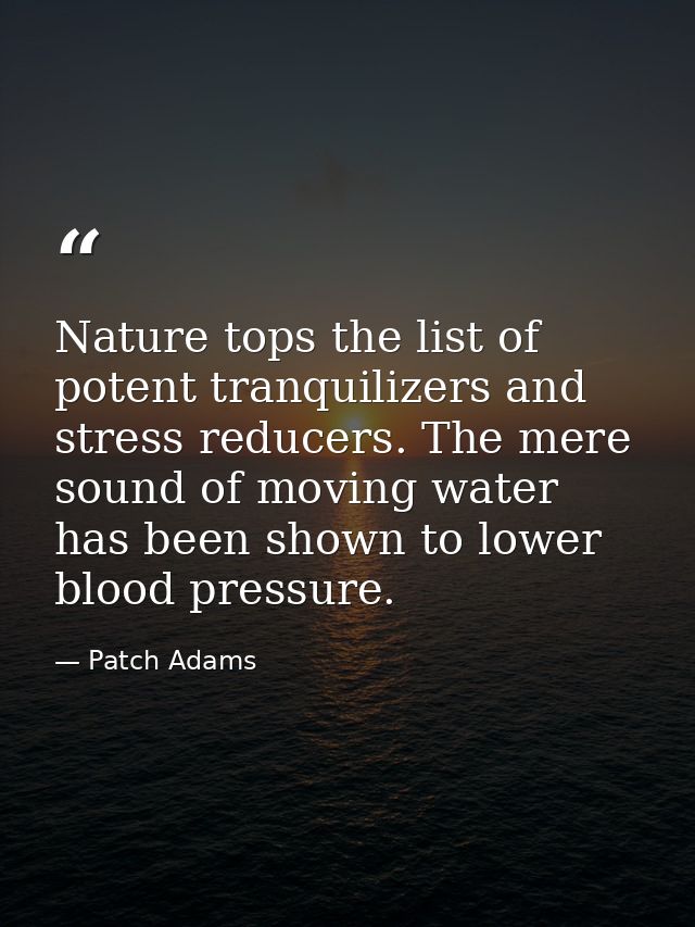 Nature tops the list of potent tranquilizers and stress reducers. The mere sound of moving water has been shown to lower — Patch Adams