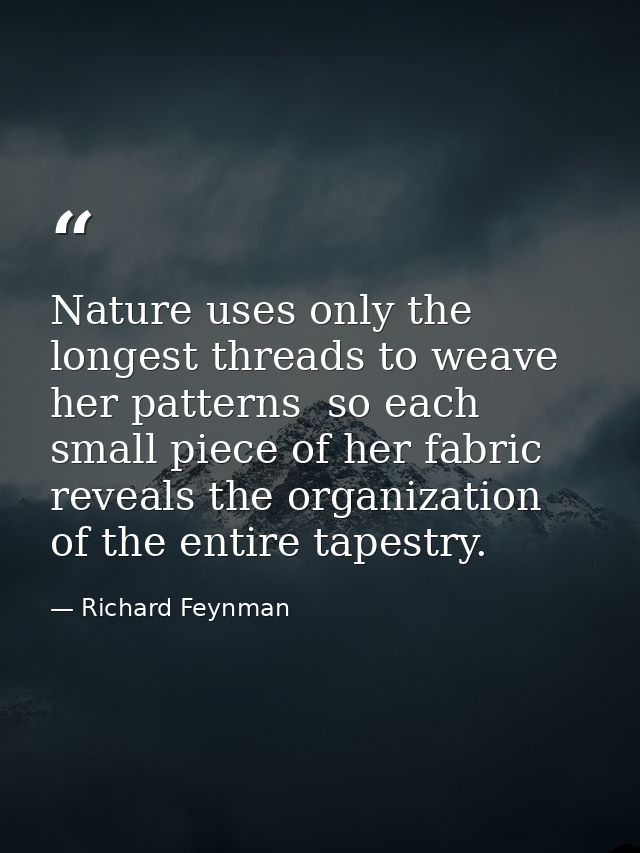 Nature uses only the longest threads to weave her patterns  so each small piece of her fabric reveals the organization o — Richard Feynman
