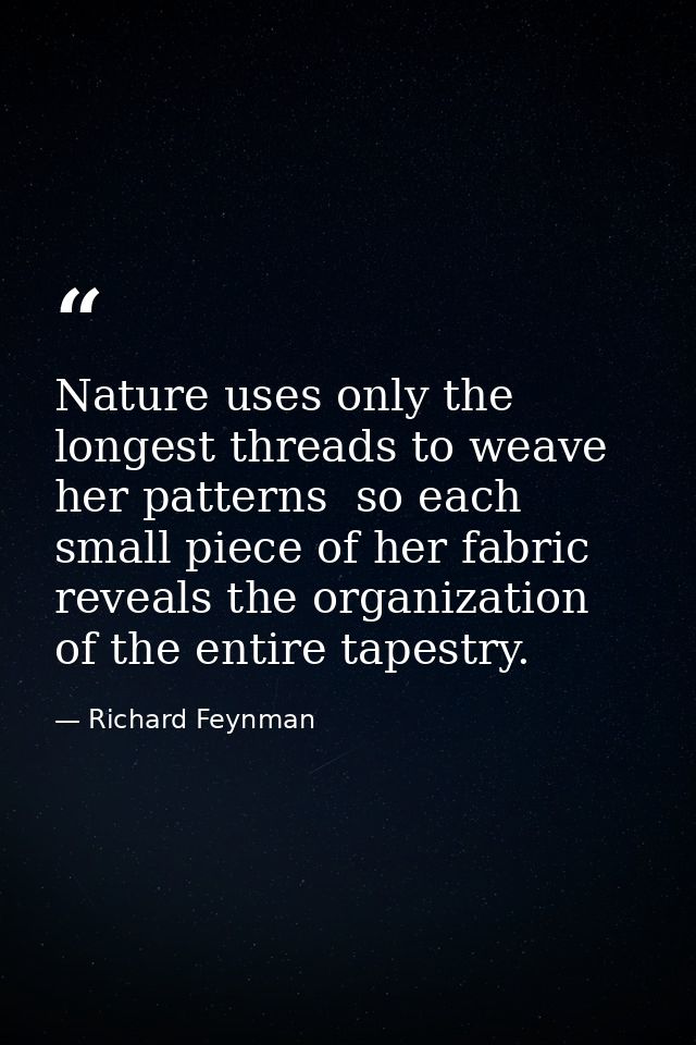 Nature uses only the longest threads to weave her patterns  so each small piece of her fabric reveals the organization o — Richard Feynman