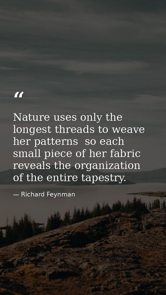 Nature uses only the longest threads to weave her patterns  so each small piece of her fabric reveals the organization o — Richard Feynman