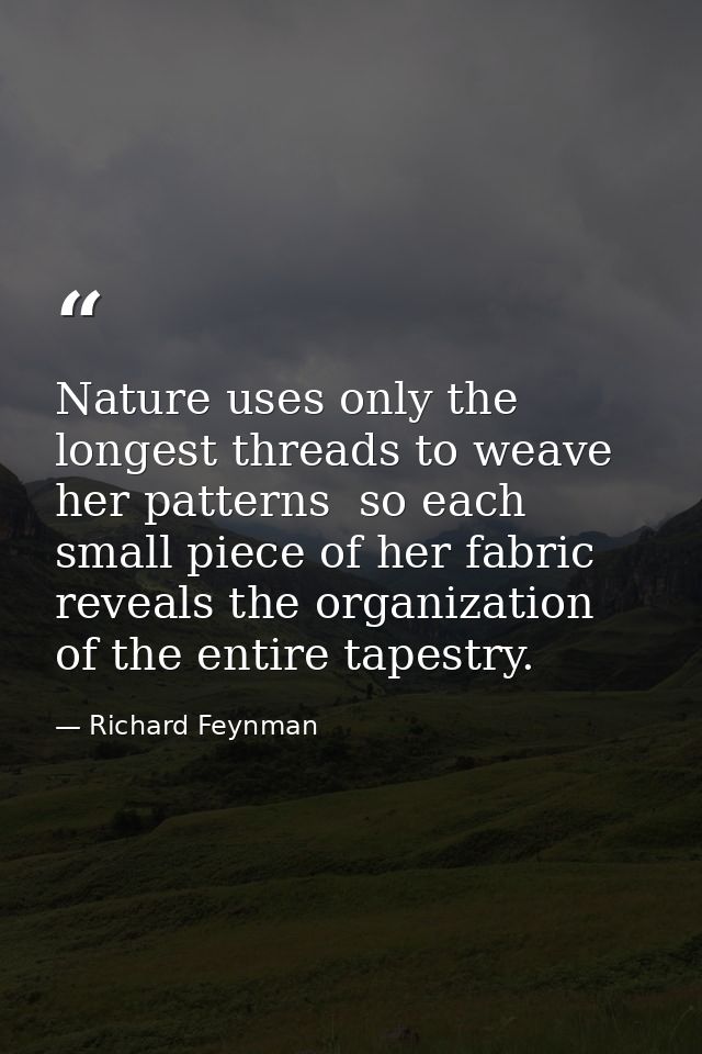 Nature uses only the longest threads to weave her patterns  so each small piece of her fabric reveals the organization o — Richard Feynman