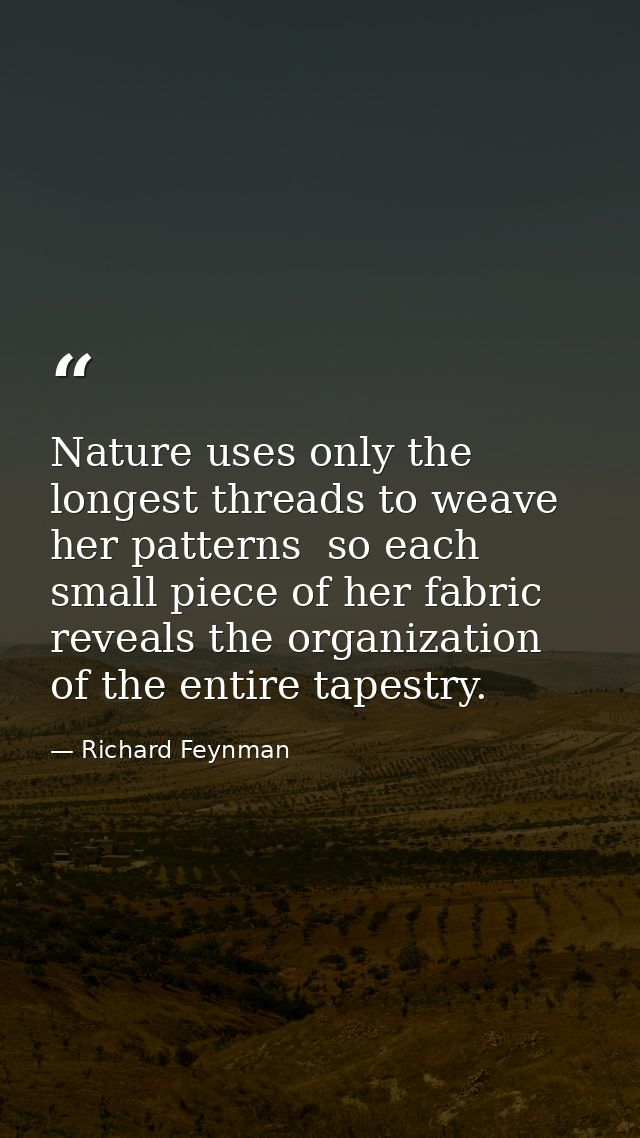 Nature uses only the longest threads to weave her patterns  so each small piece of her fabric reveals the organization o — Richard Feynman