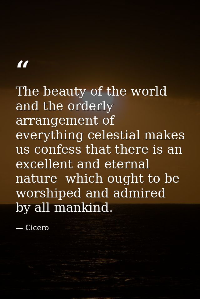 The beauty of the world and the orderly arrangement of everything celestial makes us confess that there is an excellent  — Cicero