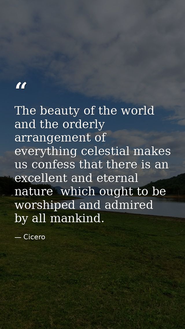 The beauty of the world and the orderly arrangement of everything celestial makes us confess that there is an excellent  — Cicero