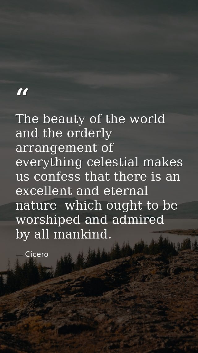 The beauty of the world and the orderly arrangement of everything celestial makes us confess that there is an excellent  — Cicero