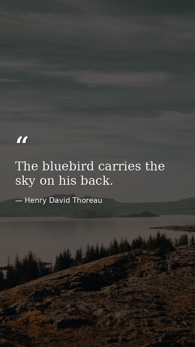 The bluebird carries the sky on his back. — Henry David Thoreau