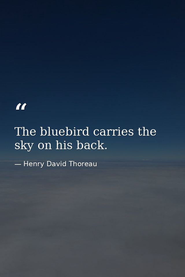 The bluebird carries the sky on his back. — Henry David Thoreau