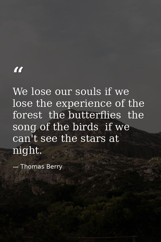 We lose our souls if we lose the experience of the forest  the butterflies  the song of the birds  if we can't see the s — Thomas Berry