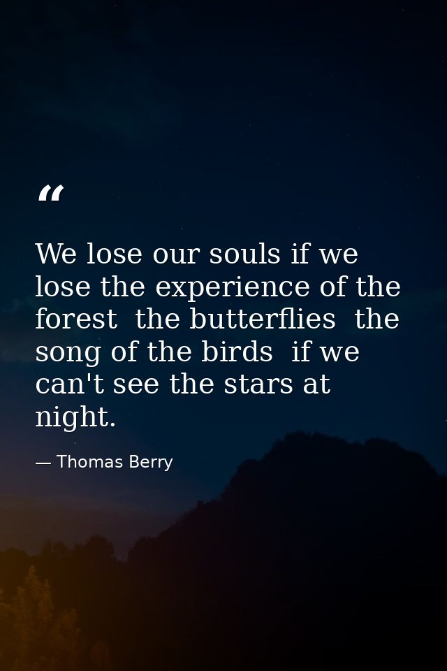 We lose our souls if we lose the experience of the forest  the butterflies  the song of the birds  if we can't see the s — Thomas Berry
