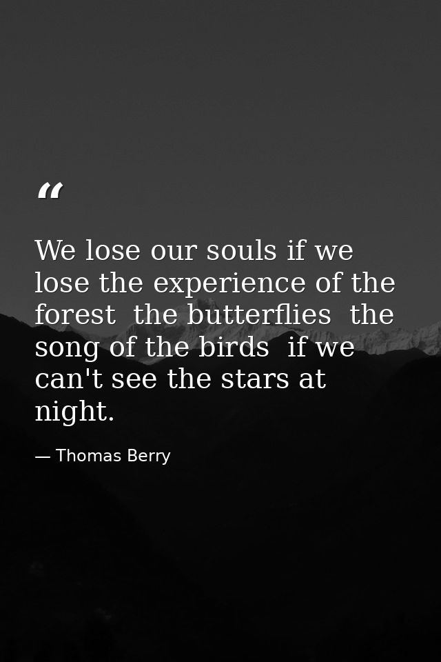 We lose our souls if we lose the experience of the forest  the butterflies  the song of the birds  if we can't see the s — Thomas Berry
