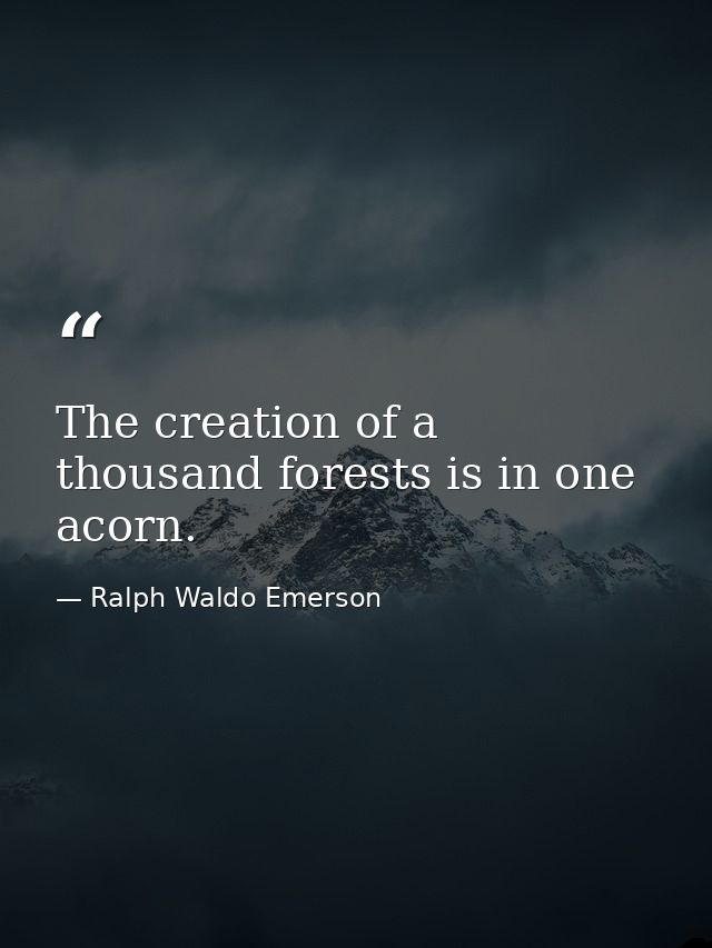 The creation of a thousand forests is in one acorn. — Ralph Waldo Emerson