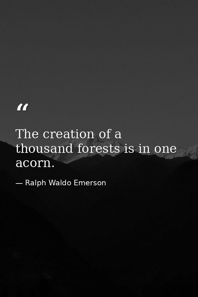 The creation of a thousand forests is in one acorn. — Ralph Waldo Emerson