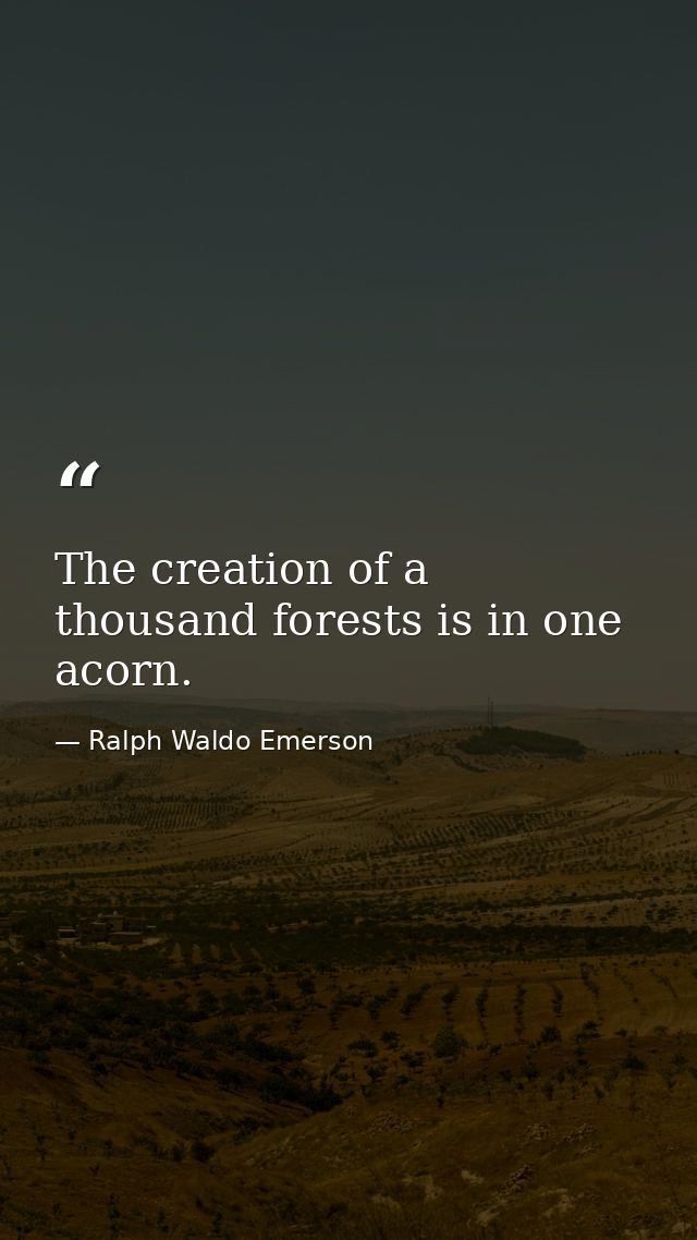 The creation of a thousand forests is in one acorn. — Ralph Waldo Emerson