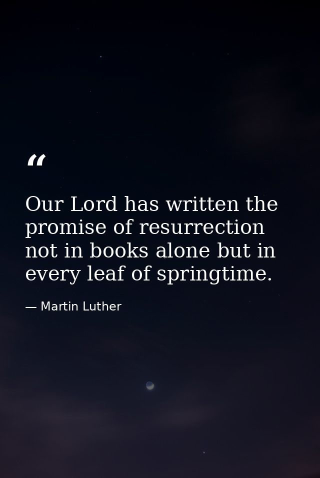 Our Lord has written the promise of resurrection  not in books alone but in every leaf of springtime. — Martin Luther