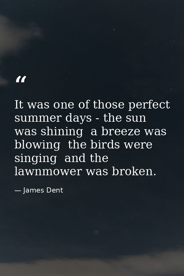 It was one of those perfect summer days - the sun was shining  a breeze was blowing  the birds were singing  and the law — James Dent