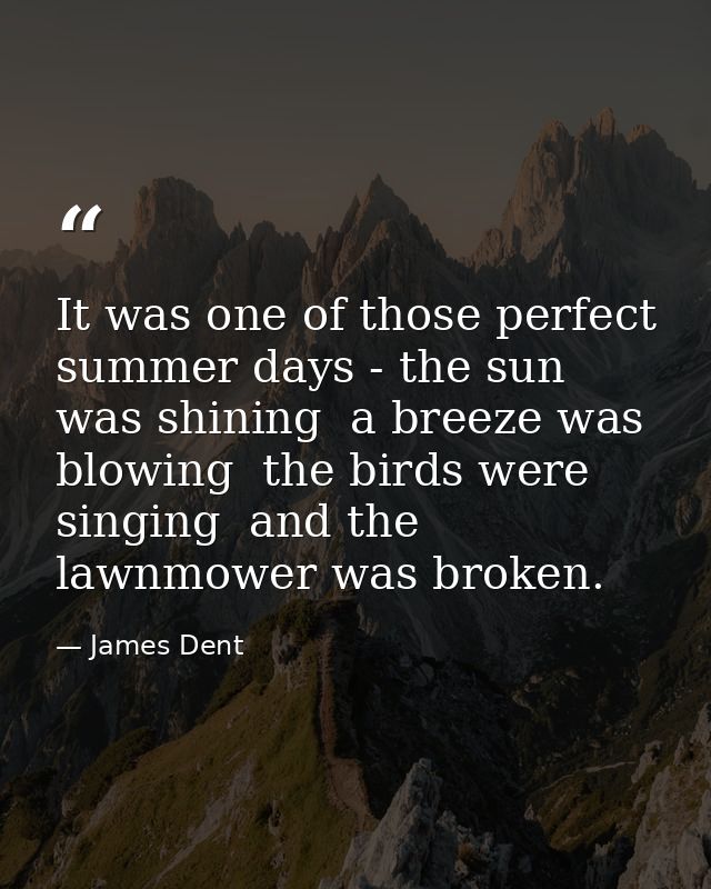 It was one of those perfect summer days - the sun was shining  a breeze was blowing  the birds were singing  and the law — James Dent