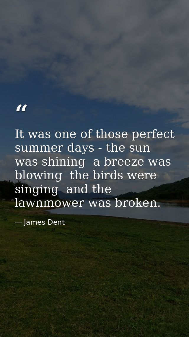 It was one of those perfect summer days - the sun was shining  a breeze was blowing  the birds were singing  and the law — James Dent