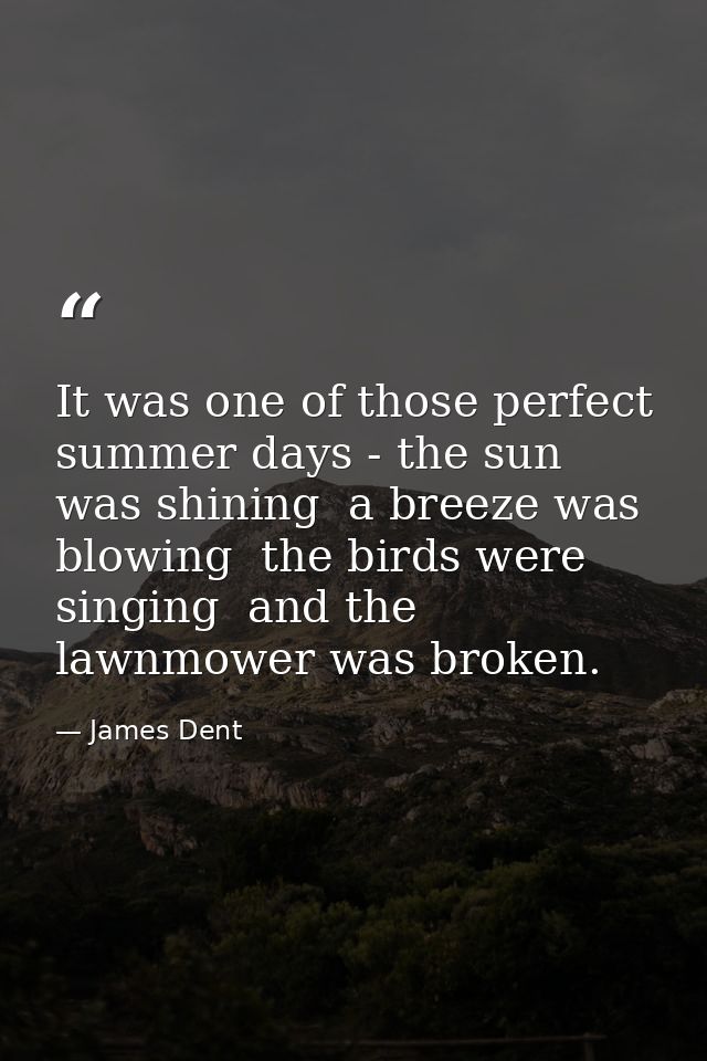 It was one of those perfect summer days - the sun was shining  a breeze was blowing  the birds were singing  and the law — James Dent