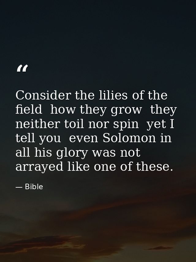 Consider the lilies of the field  how they grow  they neither toil nor spin  yet I tell you  even Solomon in all his glo — Bible