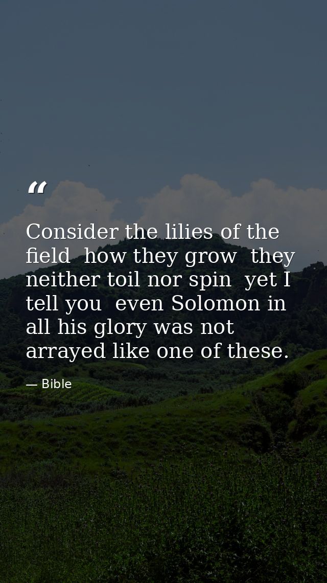 Consider the lilies of the field  how they grow  they neither toil nor spin  yet I tell you  even Solomon in all his glo — Bible