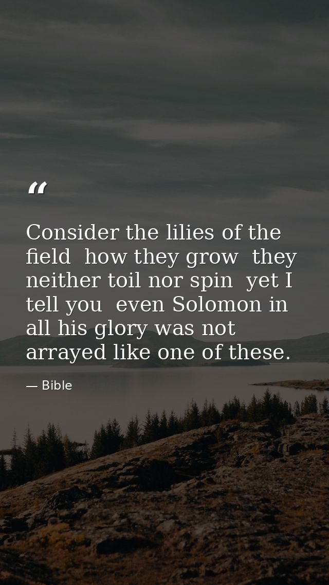 Consider the lilies of the field  how they grow  they neither toil nor spin  yet I tell you  even Solomon in all his glo — Bible
