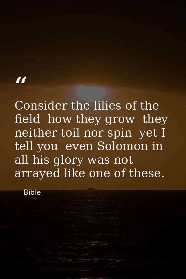 Consider the lilies of the field  how they grow  they neither toil nor spin  yet I tell you  even Solomon in all his glo — Bible