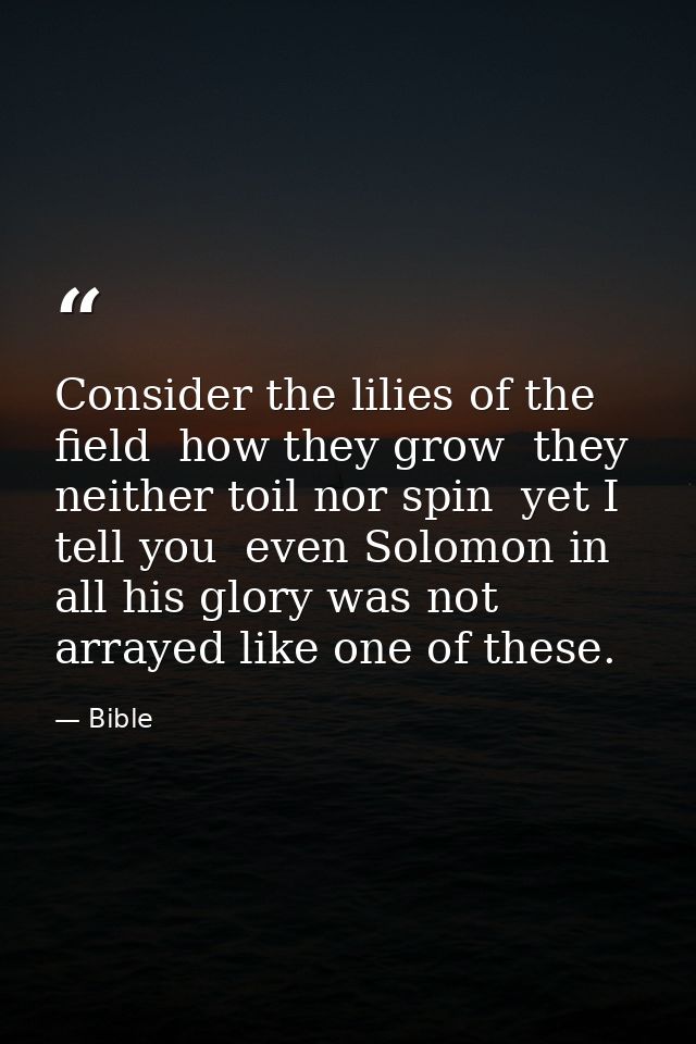 Consider the lilies of the field  how they grow  they neither toil nor spin  yet I tell you  even Solomon in all his glo — Bible
