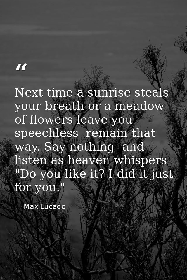 Next time a sunrise steals your breath or a meadow of flowers leave you speechless  remain that way. Say nothing  and li — Max Lucado