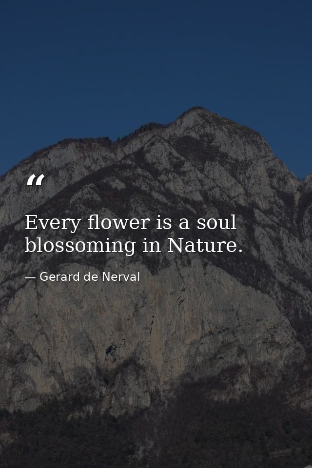 Every flower is a soul blossoming in Nature. — Gerard de Nerval