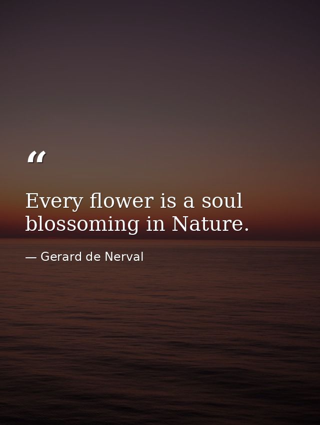 Every flower is a soul blossoming in Nature. — Gerard de Nerval