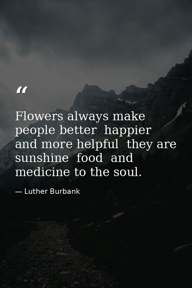Flowers always make people better  happier  and more helpful  they are sunshine  food  and medicine to the soul. — Luther Burbank