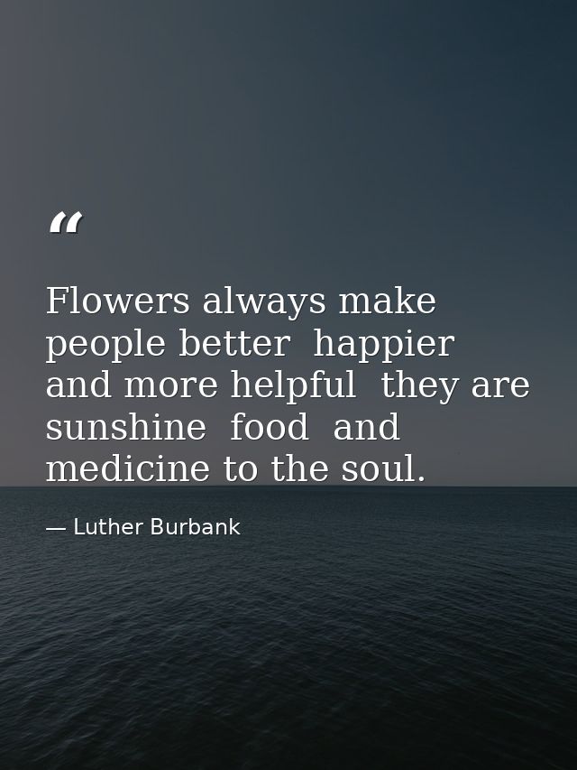 Flowers always make people better  happier  and more helpful  they are sunshine  food  and medicine to the soul. — Luther Burbank