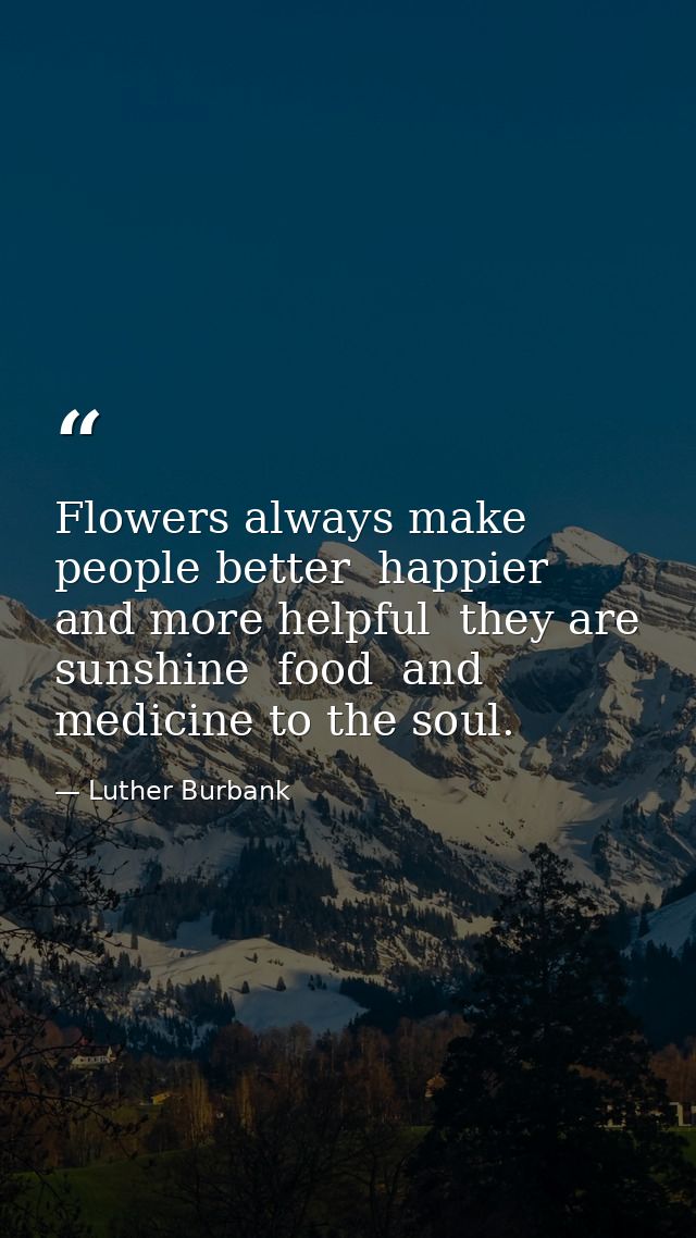 Flowers always make people better  happier  and more helpful  they are sunshine  food  and medicine to the soul. — Luther Burbank
