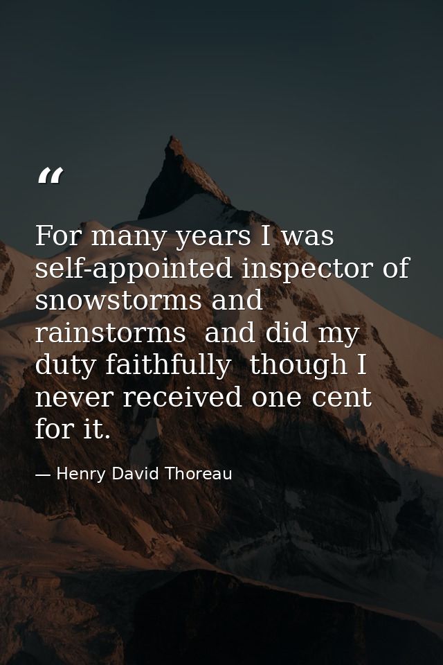 For many years I was self-appointed inspector of snowstorms and rainstorms  and did my duty faithfully  though I never r — Henry David Thoreau