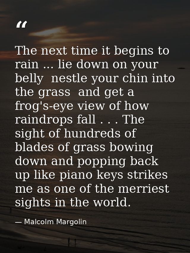 The next time it begins to rain ... lie down on your belly  nestle your chin into the grass  and get a frog's-eye view o — Malcolm Margolin