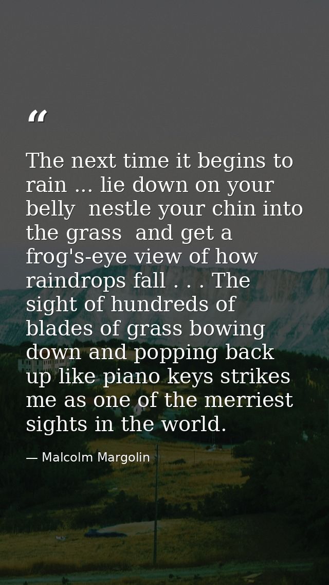 The next time it begins to rain ... lie down on your belly  nestle your chin into the grass  and get a frog's-eye view o — Malcolm Margolin