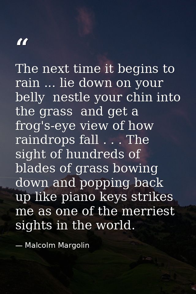 The next time it begins to rain ... lie down on your belly  nestle your chin into the grass  and get a frog's-eye view o — Malcolm Margolin