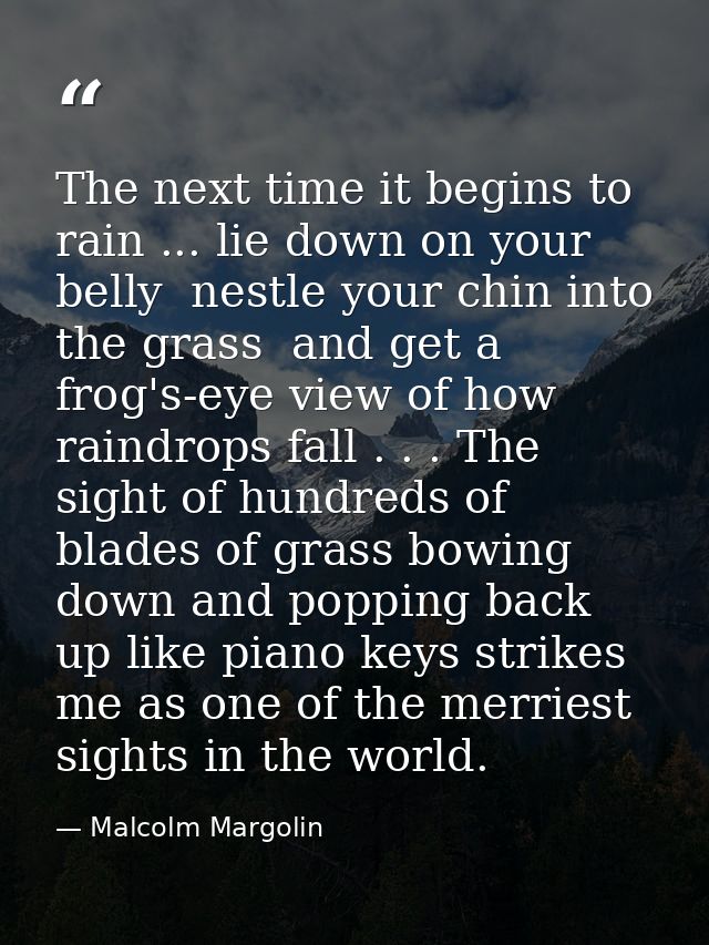 The next time it begins to rain ... lie down on your belly  nestle your chin into the grass  and get a frog's-eye view o — Malcolm Margolin