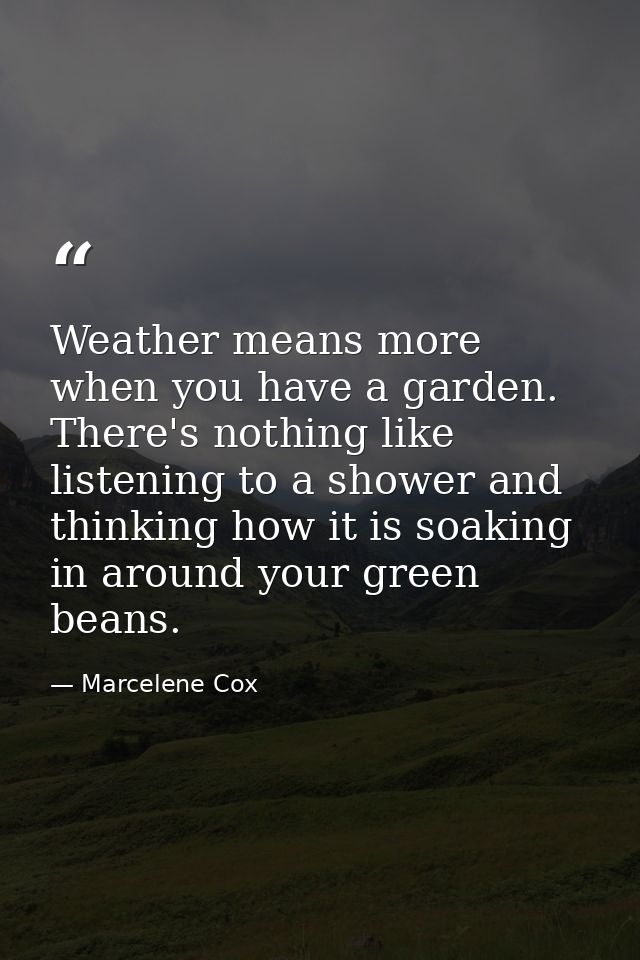 Weather means more when you have a garden. There's nothing like listening to a shower and thinking how it is soaking in  — Marcelene Cox