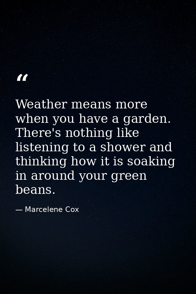 Weather means more when you have a garden. There's nothing like listening to a shower and thinking how it is soaking in  — Marcelene Cox