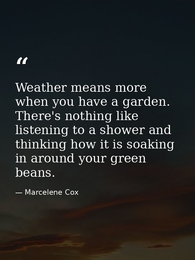 Weather means more when you have a garden. There's nothing like listening to a shower and thinking how it is soaking in  — Marcelene Cox