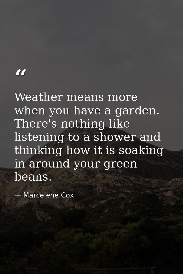 Weather means more when you have a garden. There's nothing like listening to a shower and thinking how it is soaking in  — Marcelene Cox