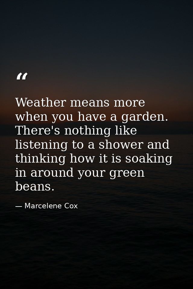 Weather means more when you have a garden. There's nothing like listening to a shower and thinking how it is soaking in  — Marcelene Cox
