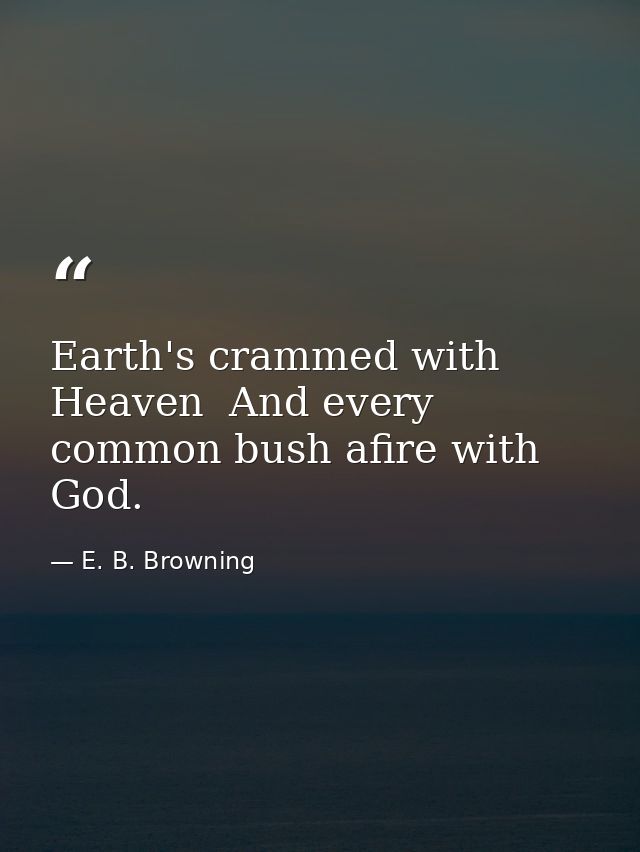 Earth's crammed with Heaven  And every common bush afire with God. — E. B. Browning